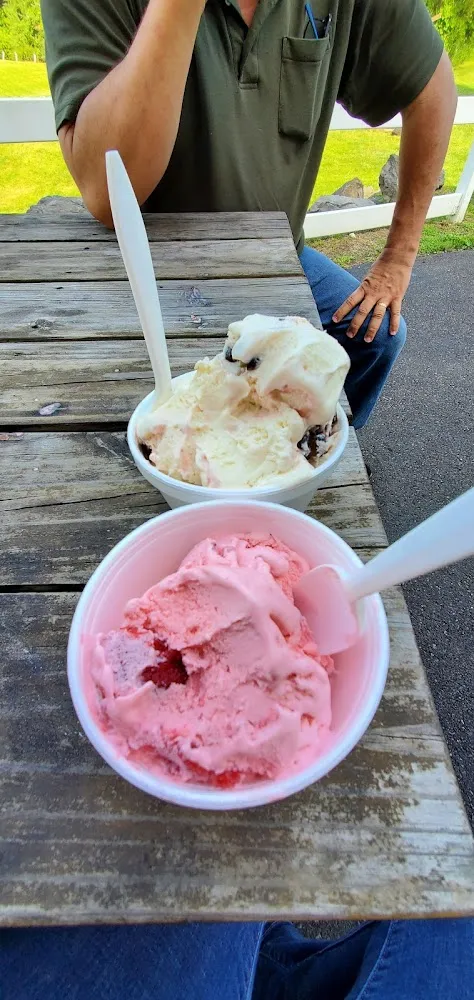 Strawberry Ice Cream and Cherry Vanilla Ice Cream